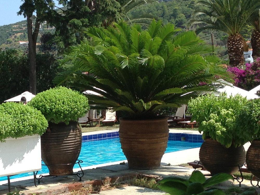 Hotel Prince Stafilos Skopelos stad Exteriör bild